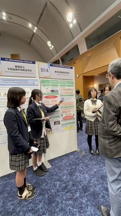 Image - 2025-12-24T174111.548.jpg